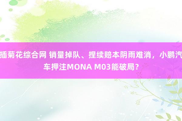 插菊花综合网 销量掉队、捏续赔本阴雨难消，小鹏汽车押注MONA M03能破局？