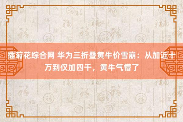 插菊花综合网 华为三折叠黄牛价雪崩：从加近十万到仅加四千，黄牛气懵了