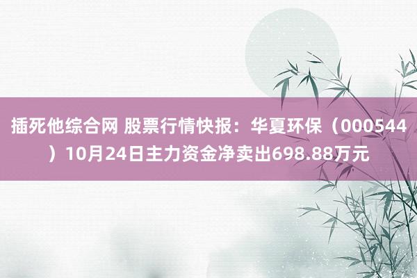 插死他综合网 股票行情快报：华夏环保（000544）10月24日主力资金净卖出698.88万元