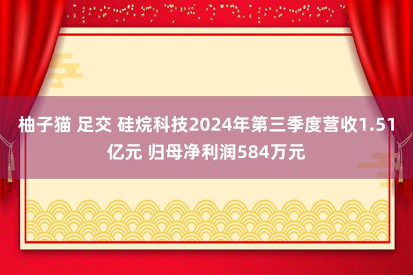 柚子猫 足交 硅烷科技2024年第三季度营收1.51亿元 归母净利润584万元