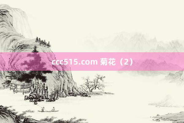 ccc515.com 菊花(2)