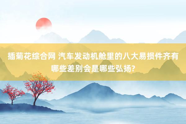 插菊花综合网 汽车发动机舱里的八大易损件齐有哪些差别会是哪些弘扬?