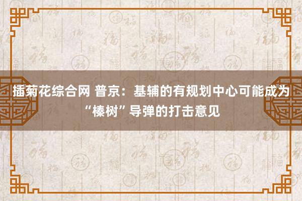 插菊花综合网 普京：基辅的有规划中心可能成为“榛树”导弹的打击意见