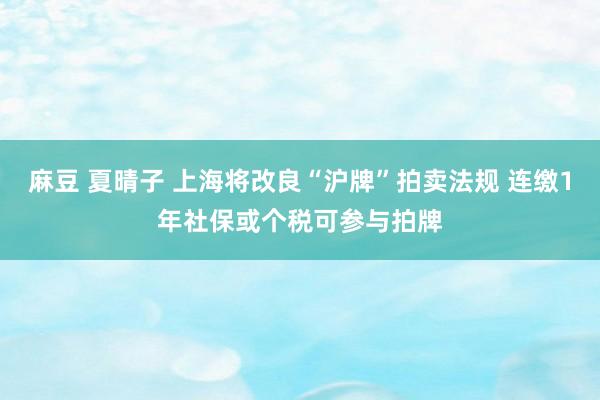 麻豆 夏晴子 上海将改良“沪牌”拍卖法规 连缴1年社保或个税可参与拍牌