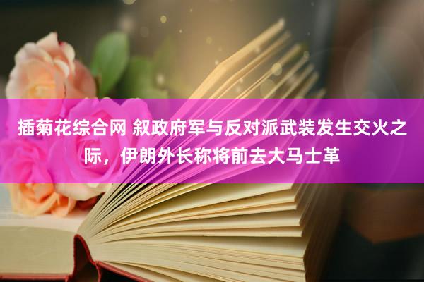 插菊花综合网 叙政府军与反对派武装发生交火之际，伊朗外长称将前去大马士革