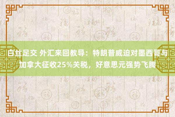 白丝足交 外汇来回教导：特朗普威迫对墨西哥与加拿大征收25%关税，好意思元强势飞腾