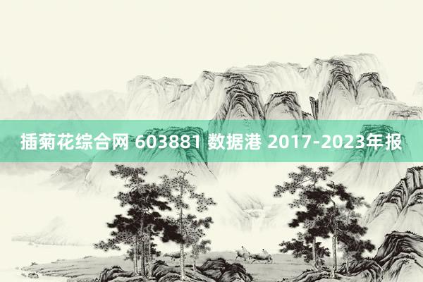插菊花综合网 603881 数据港 2017-2023年报