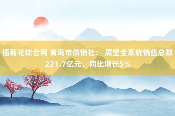 插菊花综合网 青岛市供销社： 展望全系统销售总数221.7亿元，同比增长5%