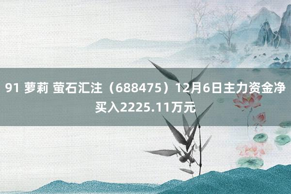 91 萝莉 萤石汇注（688475）12月6日主力资金净买入2225.11万元