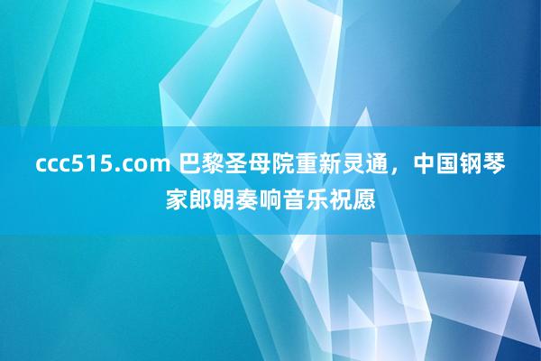 ccc515.com 巴黎圣母院重新灵通，中国钢琴家郎朗奏响音乐祝愿