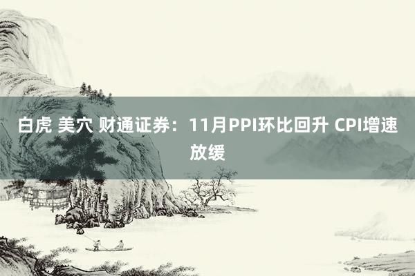 白虎 美穴 财通证券：11月PPI环比回升 CPI增速放缓