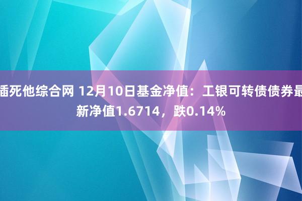 插死他综合网 12月10日基金净值：工银可转债债券最新净值1.6714，跌0.14%