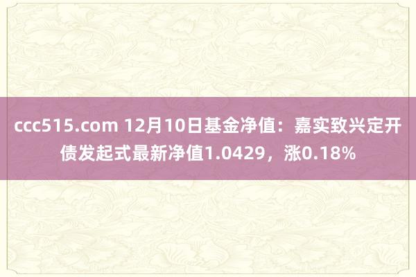 ccc515.com 12月10日基金净值：嘉实致兴定开债发起式最新净值1.0429，涨0.18%