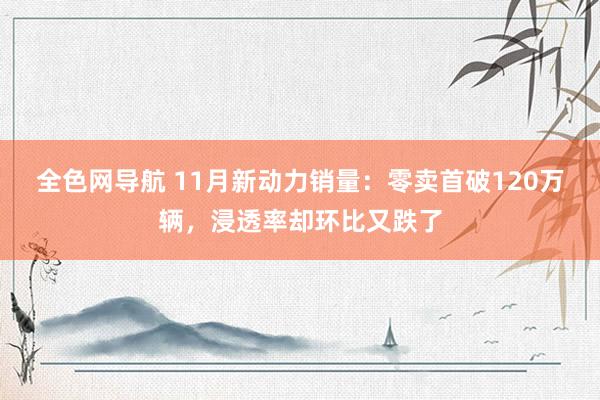 全色网导航 11月新动力销量：零卖首破120万辆，浸透率却环比又跌了