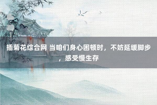 插菊花综合网 当咱们身心困顿时，不妨延缓脚步，感受慢生存