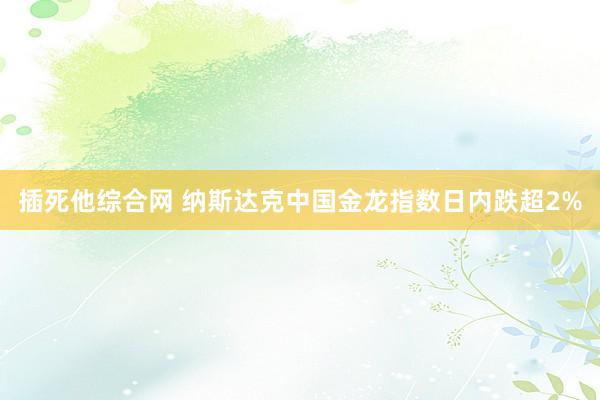 插死他综合网 纳斯达克中国金龙指数日内跌超2%