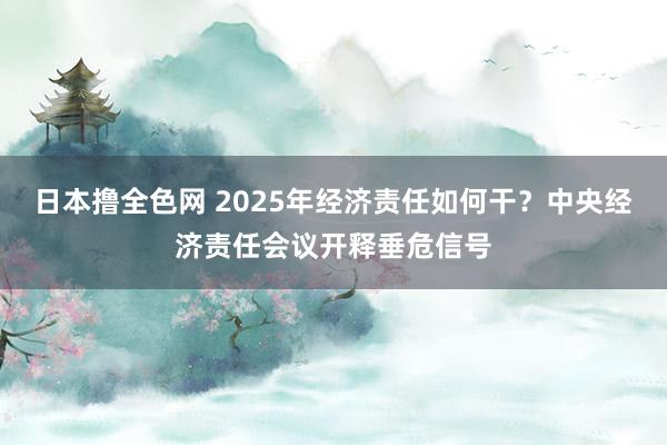 日本撸全色网 2025年经济责任如何干？中央经济责任会议开释垂危信号