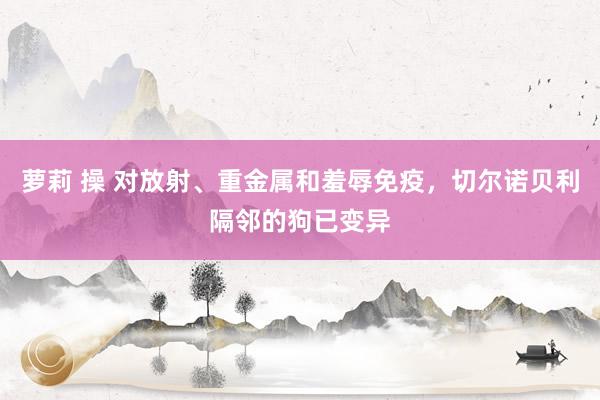 萝莉 操 对放射、重金属和羞辱免疫，切尔诺贝利隔邻的狗已变异
