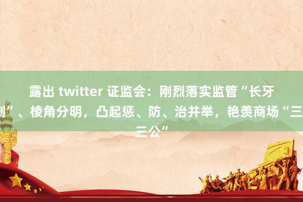 露出 twitter 证监会：刚烈落实监管“长牙带刺”、棱角分明，凸起惩、防、治并举，艳羡商场“三公”