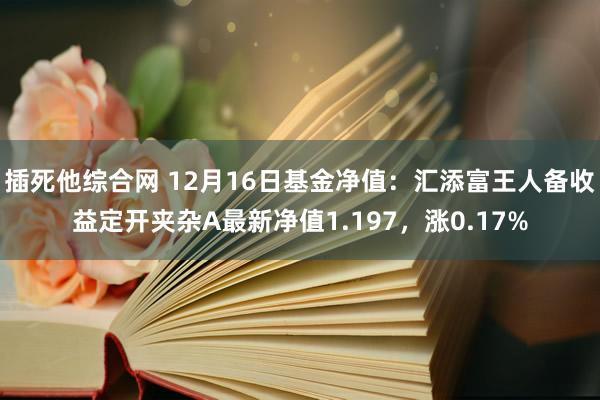 插死他综合网 12月16日基金净值：汇添富王人备收益定开夹杂A最新净值1.197，涨0.17%