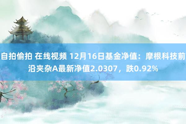 自拍偷拍 在线视频 12月16日基金净值：摩根科技前沿夹杂A最新净值2.0307，跌0.92%