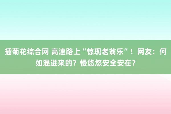 插菊花综合网 高速路上“惊现老翁乐”！网友：何如混进来的？慢悠悠安全安在？