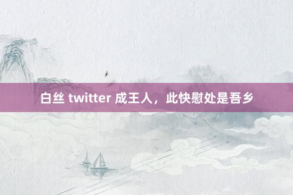 白丝 twitter 成王人，此快慰处是吾乡