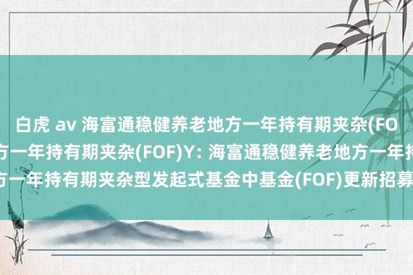 白虎 av 海富通稳健养老地方一年持有期夹杂(FOF)A,海富通稳健养老地方一年持有期夹杂(FOF)Y: 海富通稳健养老地方一年持有期夹杂型发起式基金中基金(FOF)更新招募说明书(2024年第1号)