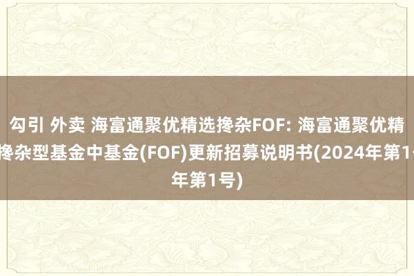 勾引 外卖 海富通聚优精选搀杂FOF: 海富通聚优精选搀杂型基金中基金(FOF)更新招募说明书(2024年第1号)