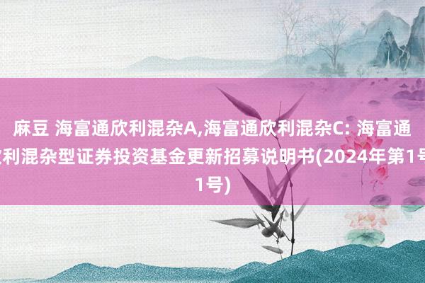 麻豆 海富通欣利混杂A,海富通欣利混杂C: 海富通欣利混杂型证券投资基金更新招募说明书(2024年第1号)