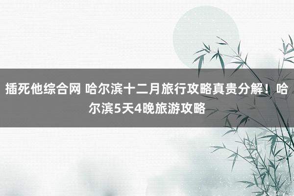 插死他综合网 哈尔滨十二月旅行攻略真贵分解！哈尔滨5天4晚旅游攻略