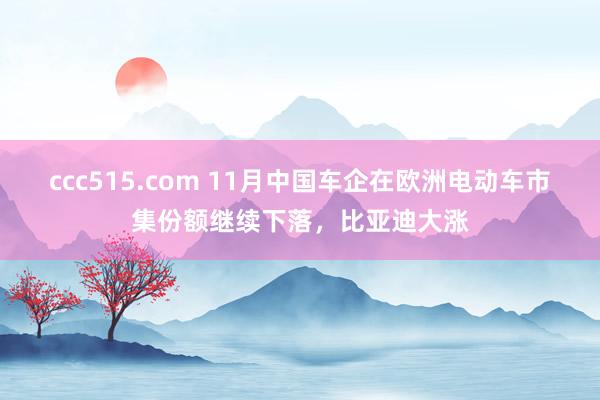 ccc515.com 11月中国车企在欧洲电动车市集份额继续下落，比亚迪大涨