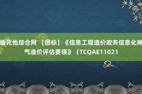 插死他综合网 【团标】《信息工程造价政务信息化神气造价评估要领》（TCQAE11021