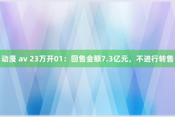 动漫 av 23万开01：回售金额7.3亿元，不进行转售
