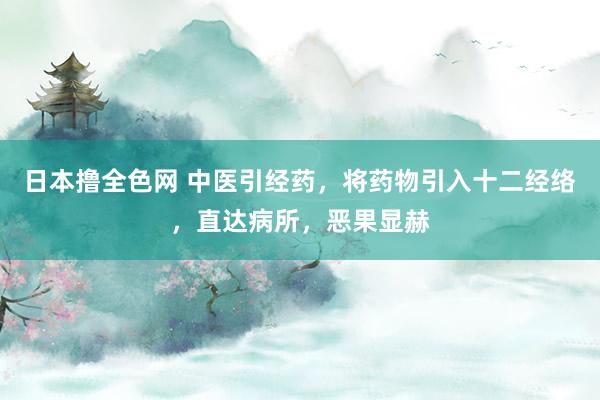 日本撸全色网 中医引经药，将药物引入十二经络，直达病所，恶果显赫