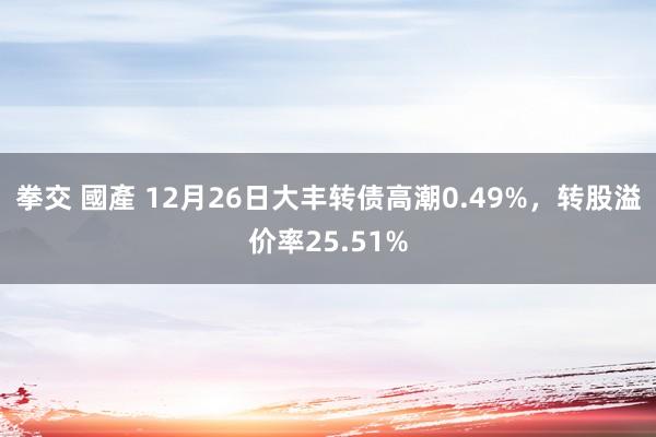 拳交 國產 12月26日大丰转债高潮0.49%，转股溢价率25.51%