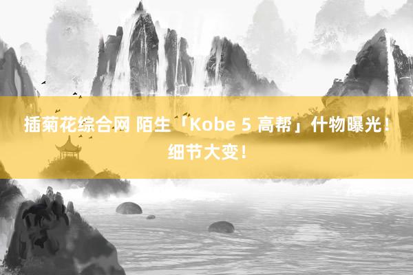 插菊花综合网 陌生「Kobe 5 高帮」什物曝光！细节大变！