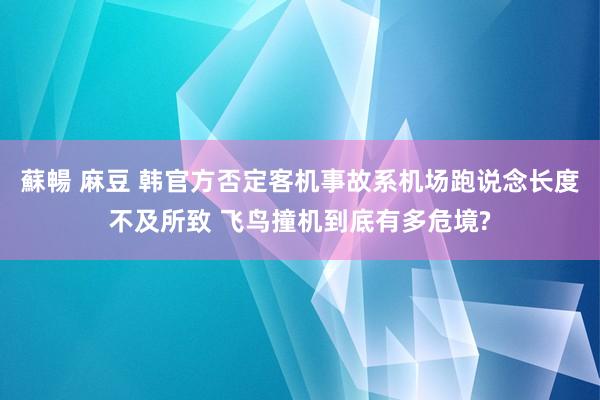 蘇暢 麻豆 韩官方否定客机事故系机场跑说念长度不及所致 飞鸟撞机到底有多危境?