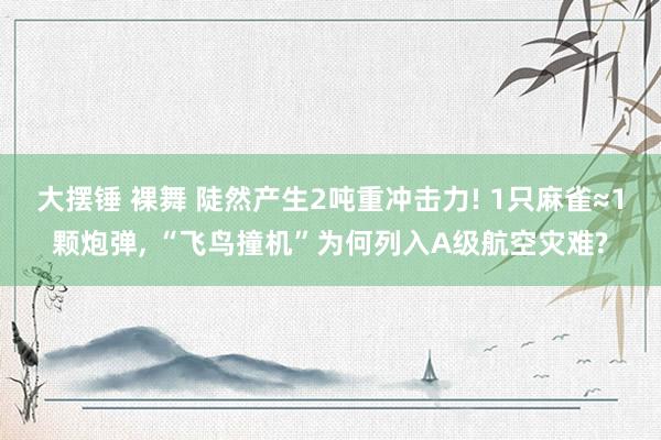 大摆锤 裸舞 陡然产生2吨重冲击力! 1只麻雀≈1颗炮弹， “飞鸟撞机”为何列入A级航空灾难?