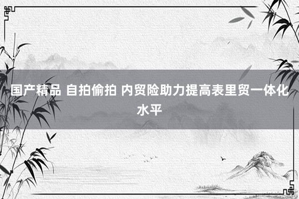 国产精品 自拍偷拍 内贸险助力提高表里贸一体化水平