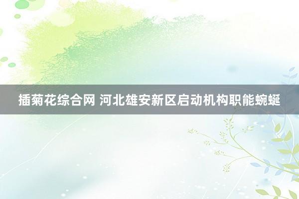 插菊花综合网 河北雄安新区启动机构职能蜿蜒