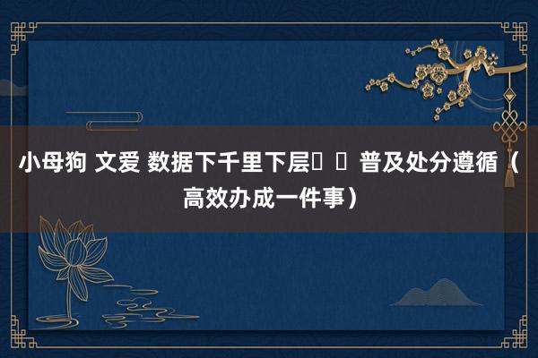 小母狗 文爱 数据下千里下层  普及处分遵循（高效办成一件事）