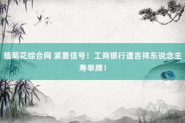 插菊花综合网 紧要信号！工商银行遭吉祥东说念主寿举牌！