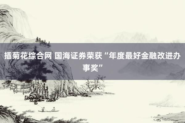 插菊花综合网 国海证券荣获“年度最好金融改进办事奖”