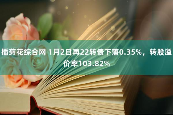 插菊花综合网 1月2日再22转债下落0.35%，转股溢价率103.82%