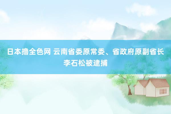 日本撸全色网 云南省委原常委、省政府原副省长李石松被逮捕