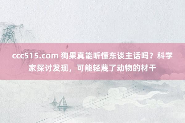 ccc515.com 狗果真能听懂东谈主话吗？科学家探讨发现，可能轻蔑了动物的材干