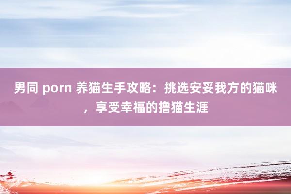 男同 porn 养猫生手攻略：挑选安妥我方的猫咪，享受幸福的撸猫生涯