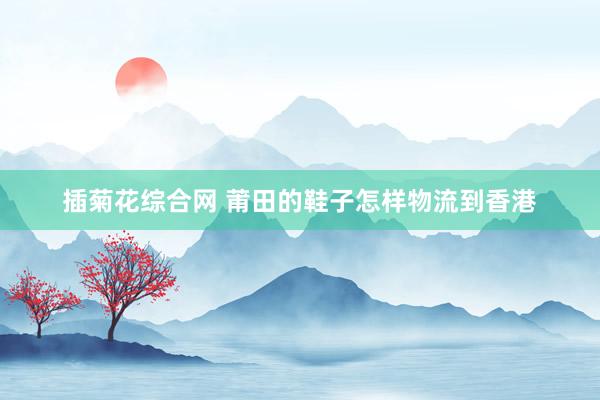 插菊花综合网 莆田的鞋子怎样物流到香港