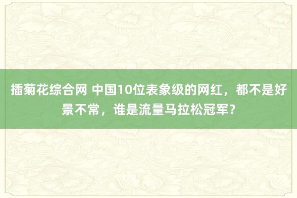 插菊花综合网 中国10位表象级的网红，都不是好景不常，谁是流量马拉松冠军？